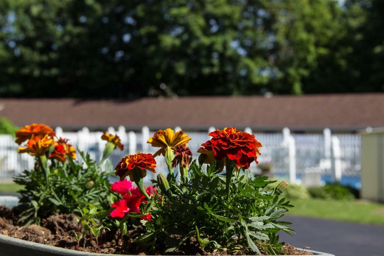 Fran Cove Motel Lake George Zewnętrze zdjęcie